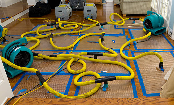 Professional Structural Drying And Dehumidification technician working in Godley, TX